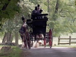Horse-Drawn Carriage