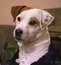 Wishbone Pride and Prejudice