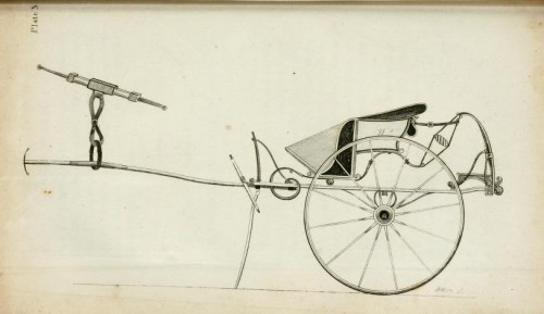 Felton Curricle fig 40 v.2 Felton Curricle fig 40 v.2