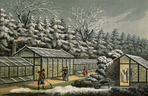 garden winter garden winter