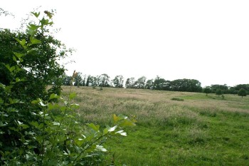 Modern-day view of hill behind former Steventon rectory