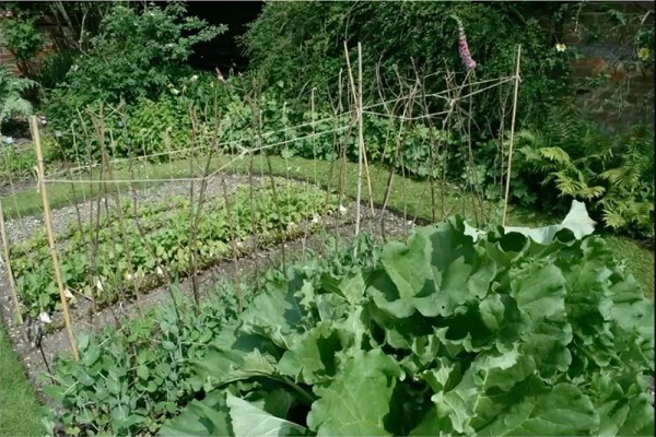 Kitchen Garden, Jane Austen's House