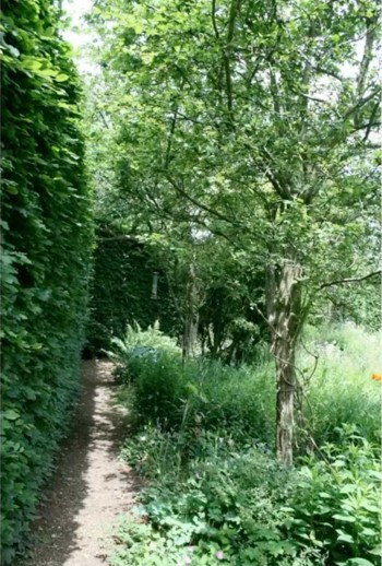 Portion of the shrubbery walk at Jane Austen's House