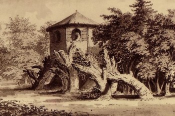 Engraving of Painshill Hermitage