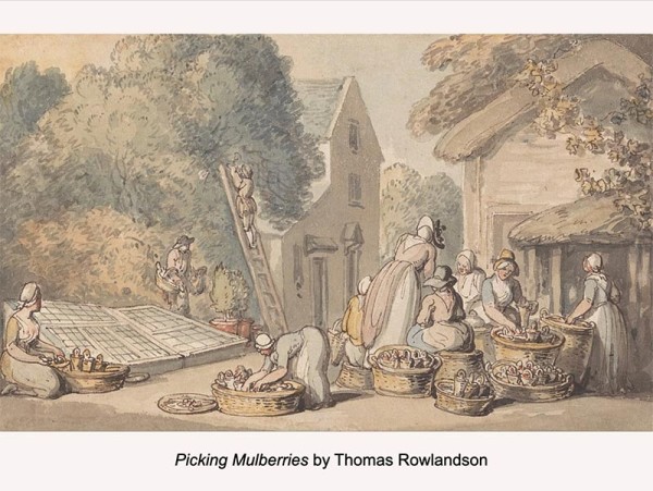 Picking Mulberries by Thomas Rowlandson